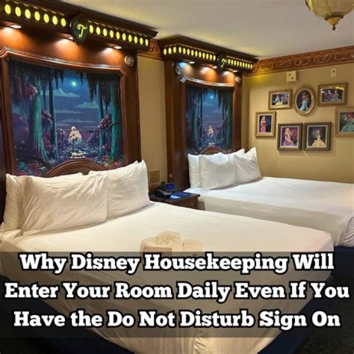 Why does Disney do room checks?