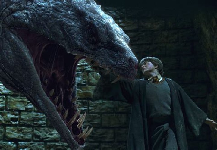 Why does Harry not get Petrified by the basilisk?