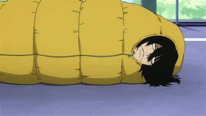 Why does Mr Aizawa sleep so much?