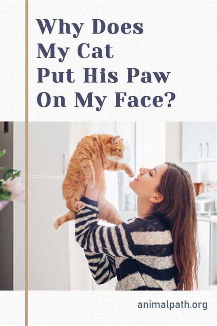 Why does my cat grab me with his paws?