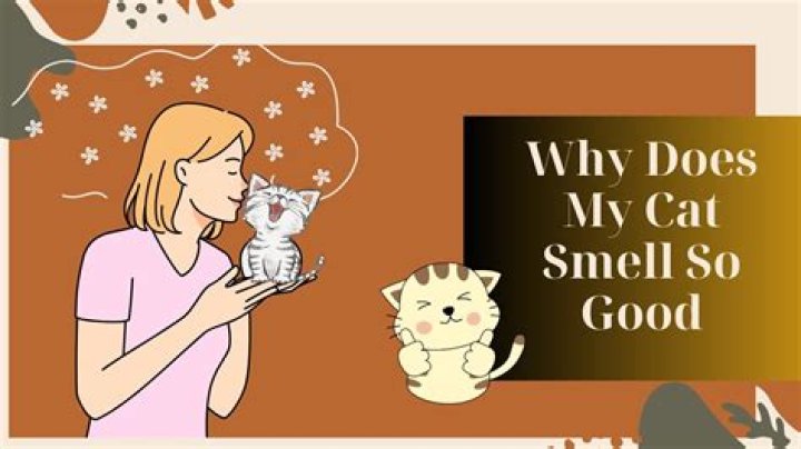 Why does my crush smell so good?