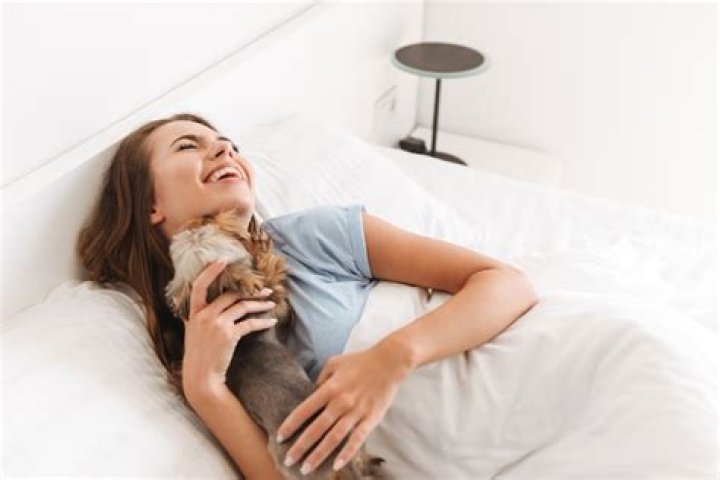 Why does my dog bite my hair?