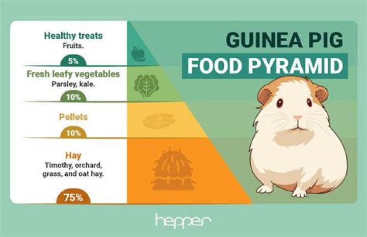 Why does my guinea pig push his head up when I pet him?