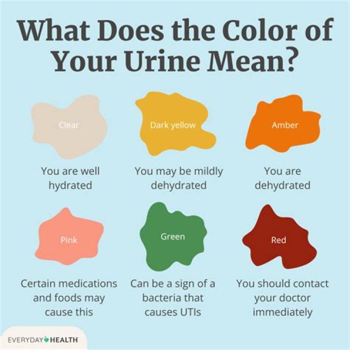 Why does my pee smell like eggs?