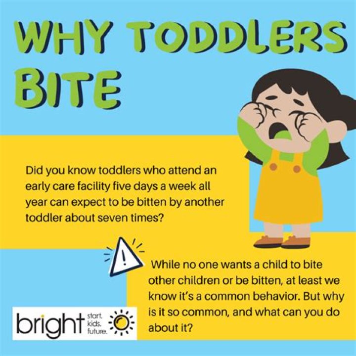 Why does my toddler hit the dog?