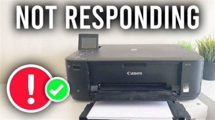Why doesn't my printer have an IP address?