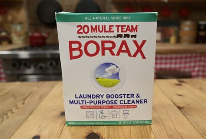 Why is it called 20 Mule Team Borax?