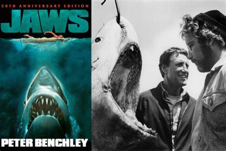 Why is it called Jaws?