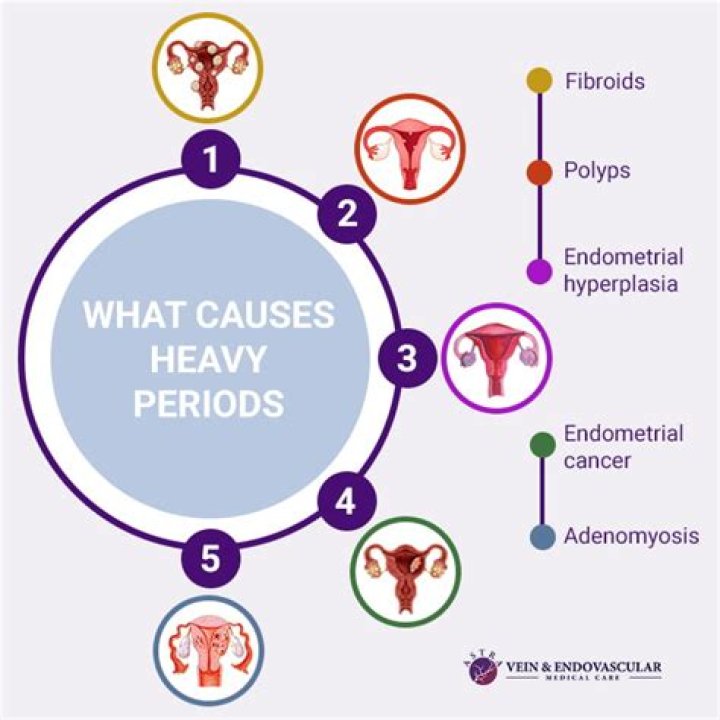 Why is my dogs period so heavy?