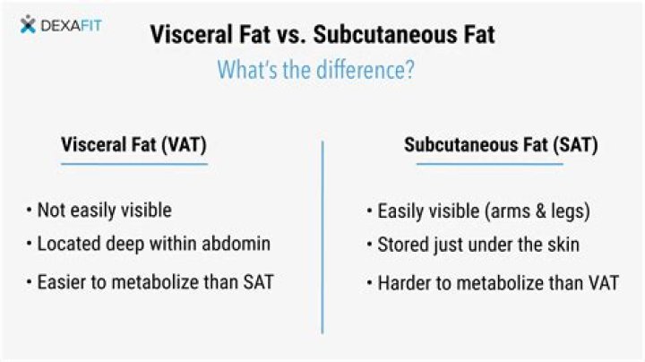 Why is my fat mass increasing?