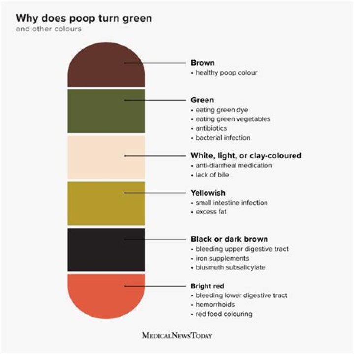 Why is my poop light green?