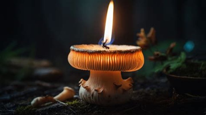 Why is my wick mushrooming?