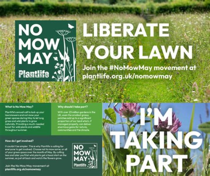 Why is no mow may Important?