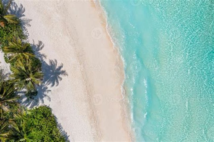 Why is ocean sand white?
