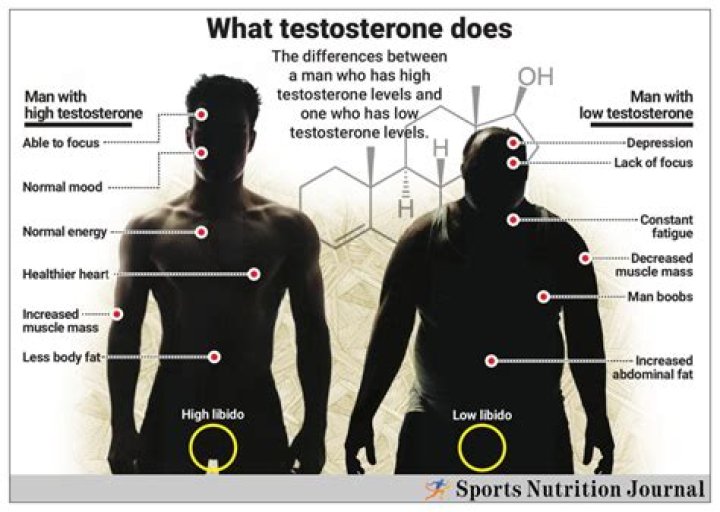 Why is testosterone highest in the morning?