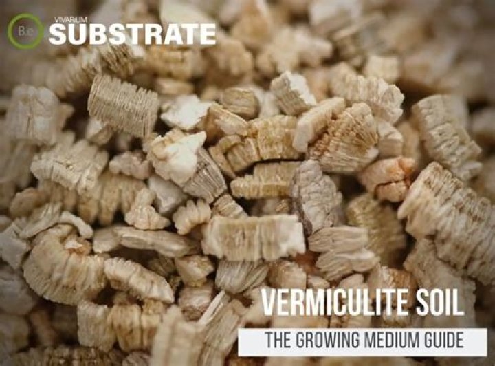 Why is vermiculite good for plants?