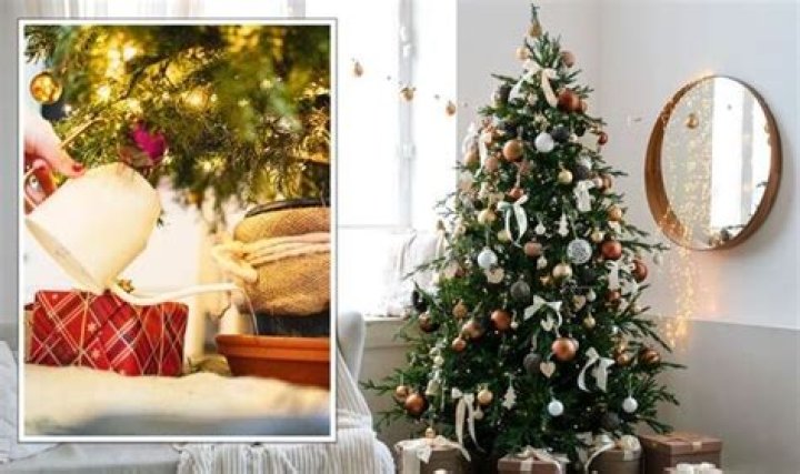 Will hot water revive my Christmas tree?