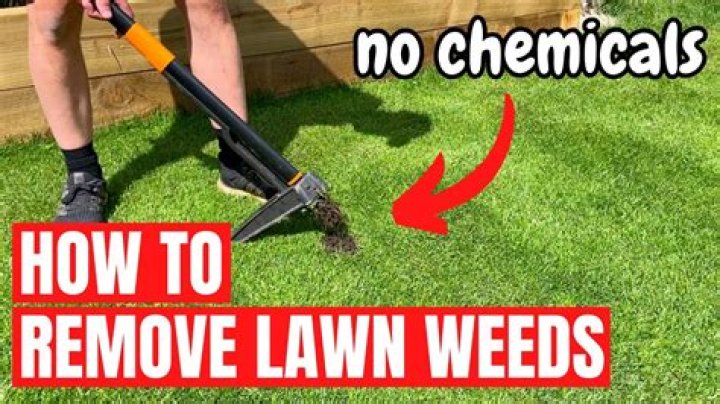 Will mowing the lawn get rid of weeds?