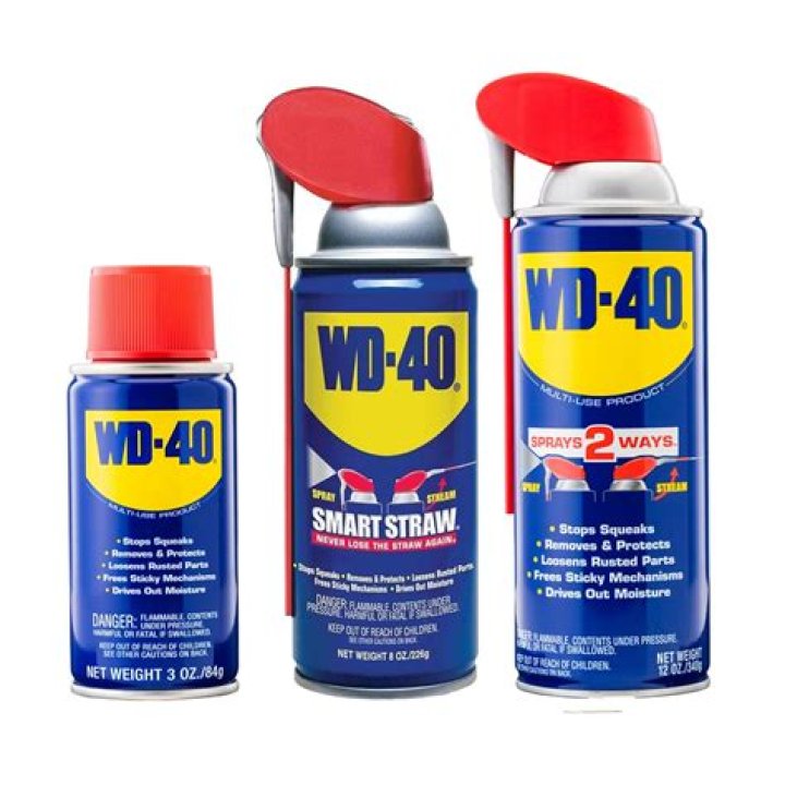 Will WD-40 clean a paintbrush?